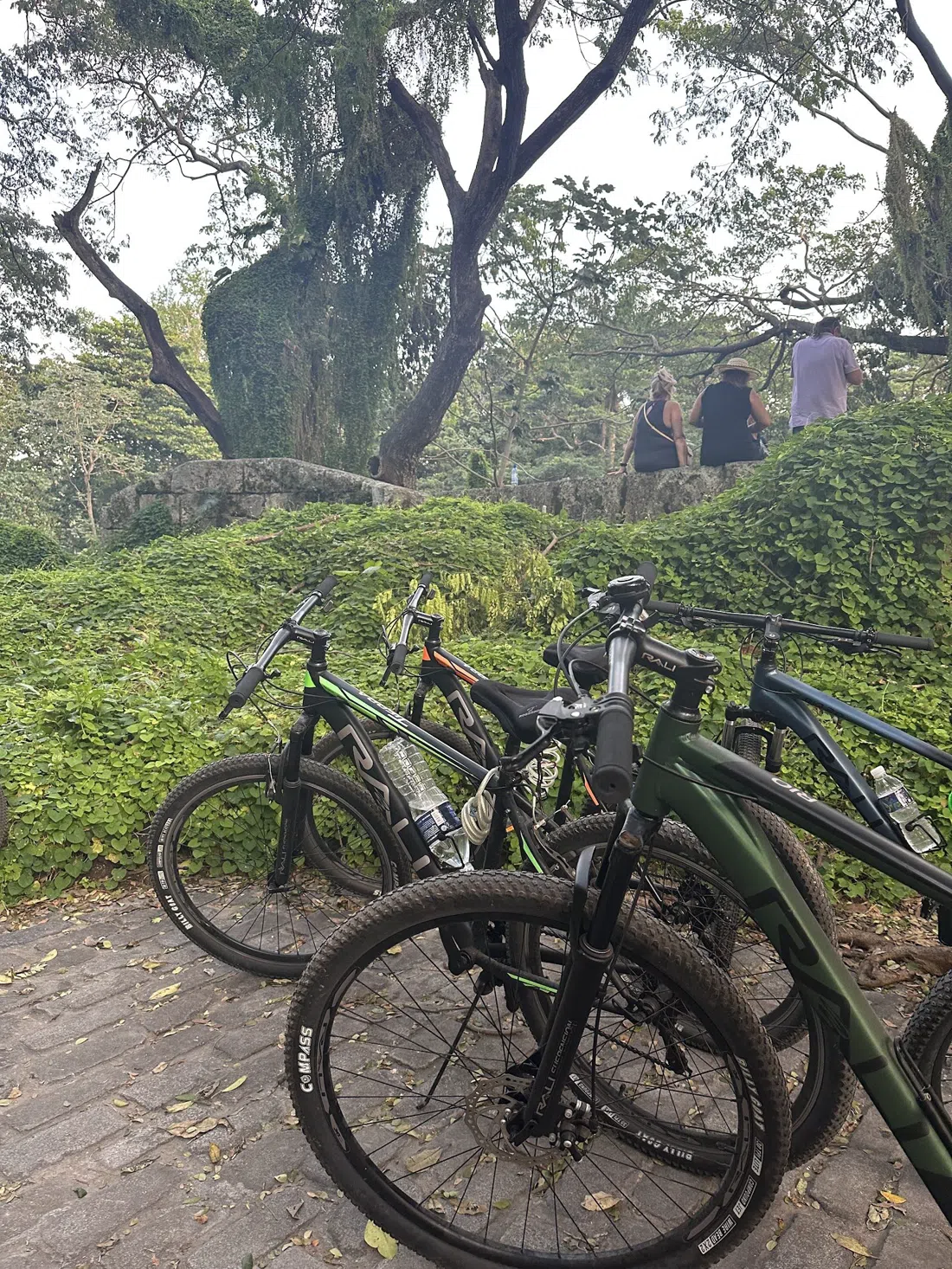 JimyBikes, Havana