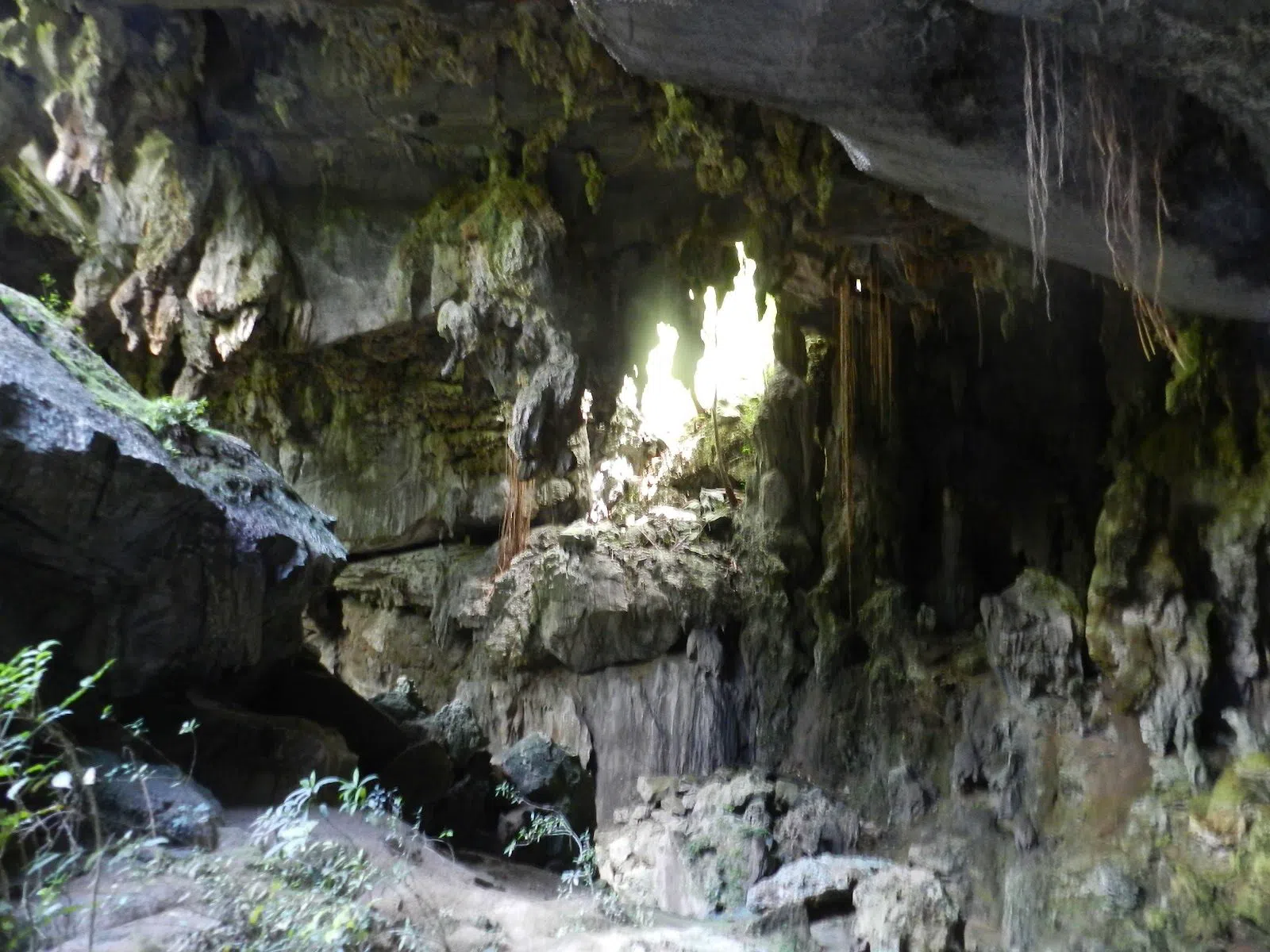 Gran Caverna de Santo Tomás, La Habana