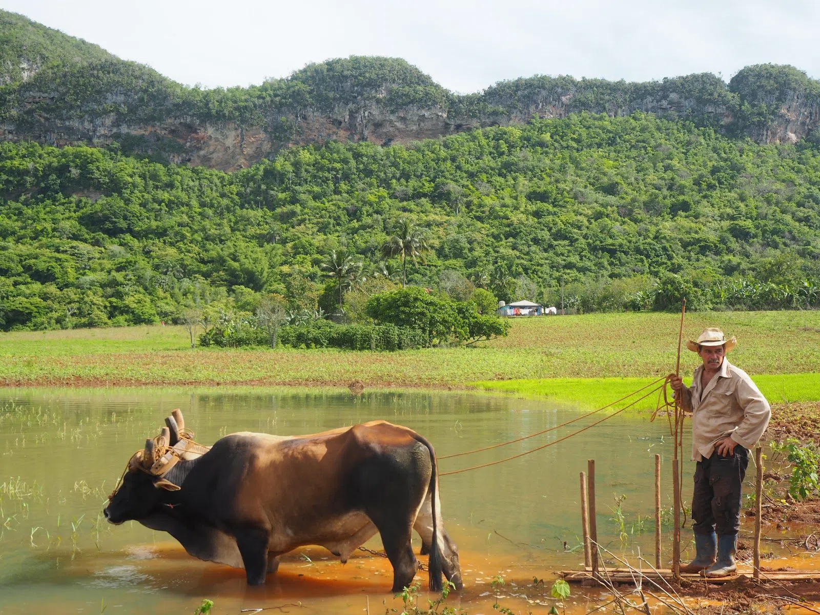 Authentic Vinales Tours, La Habana