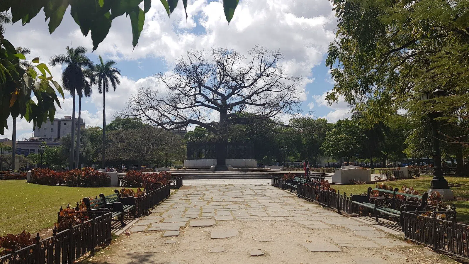 Parque de la Fraternidad, Havana